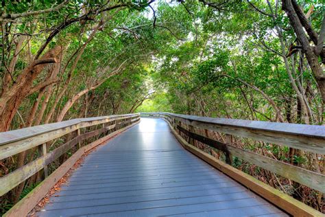 Clam Pass Beach – Naples, Florida - Atlas Obscura