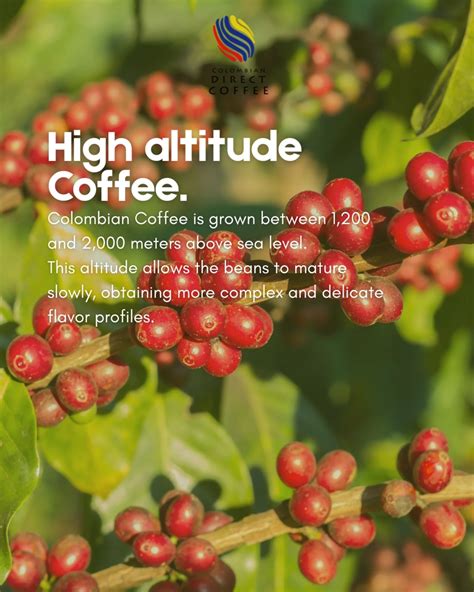 Colombian Direct Coffee