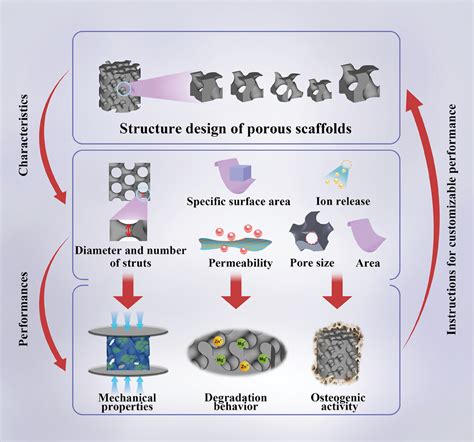 Additively Manufactured Zn2Mg Alloy Porous Scaffolds With Customizable