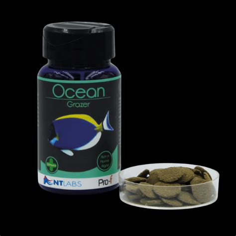 NT Labs Pro F Ocean Grazer 40g Sims Tropical Fish Tropical Fish