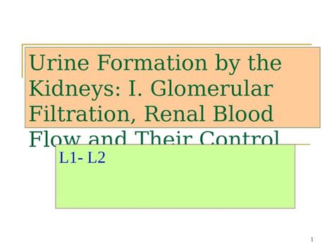 Ppt Urine Formation By The Kidneys I Glomerular Filtration Renal