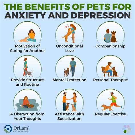 Amazing Reasons Why So Many People Are Relying On Pets For Anxiety