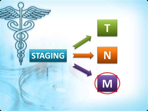 Tnm Staging Of Oral Cancer Ppt