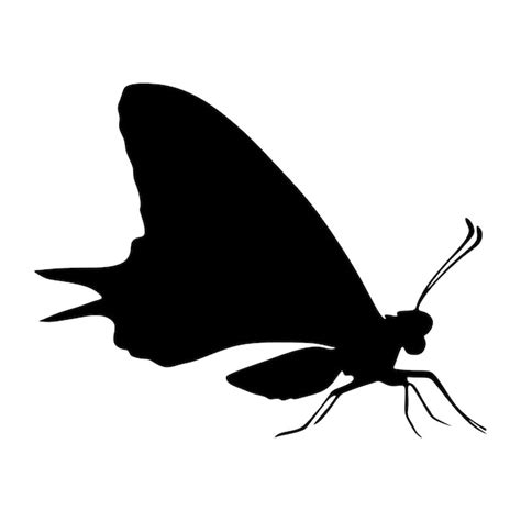 Icono De Mariposa O Silueta Ilustraci N Vectorial Vector Premium