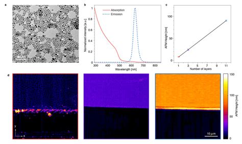 Fabrication And Characterization Of Cdsecds Coreshell Nanocrystals