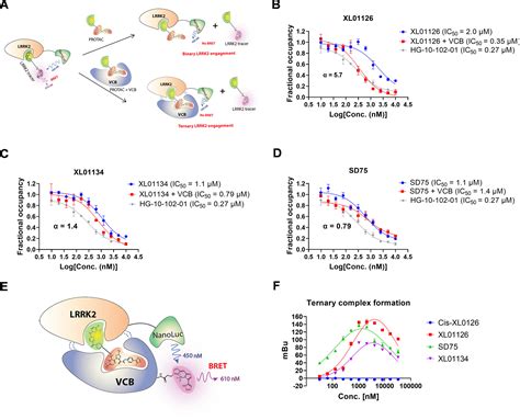 Discovery Of XL01126 A Potent Fast Cooperative Selective Orally