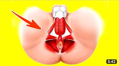 Best Pelvic Floor Exercises To Increase Testosteron Testosteron Level