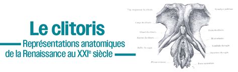 Le Clitoris De La Renaissance Au Xxie Siècle Sciences Sexes