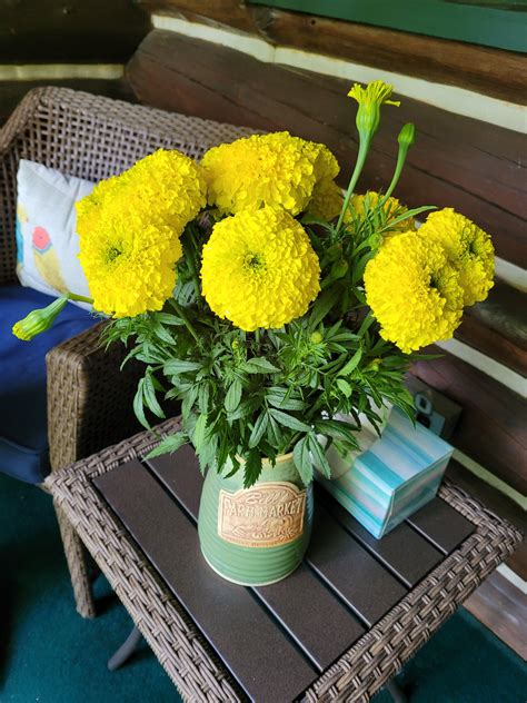 These lovely marigolds from the farmers market are so much larger than