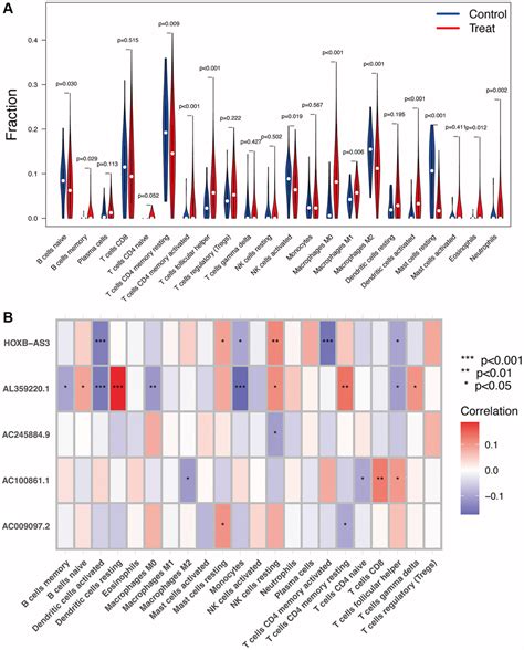 Identification And Validation Of Oxeiptosis Associated Lncrnas And