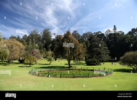 The Botanical Gardens at Ooty, short for Ootacamund, a hill station ...