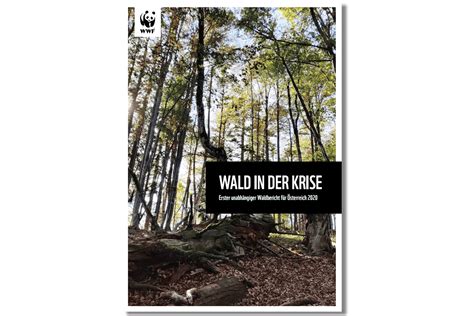 Wald In Der Krise Wwf Waldbericht Für Österreich Wwf Österreich