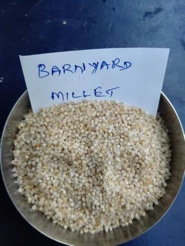 Indian Khana Millets Types Of Millets Benefits Nutrition 59 OFF