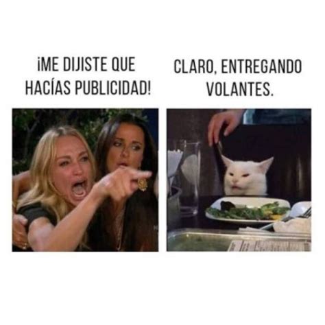 Los Memes M S Divertidos Del Gato Y Me Dijiste Que