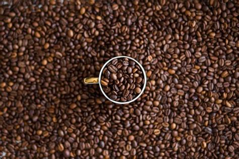 Café Ecológico Chiapaneco 400gr En grano ConSuma Conciencia