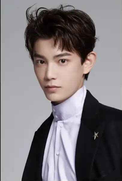 Ding Yuxi Biography Height And Life Story Super Stars Bio