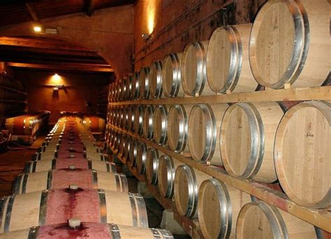 O Que Significa Bodega - Bodega - Qué es, etimología, definición y concepto