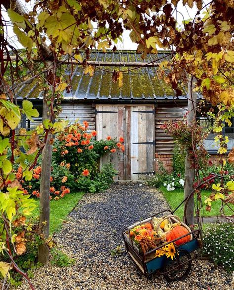 A Wheelbarrow With Pumpkins And Squash In Front Of A Wooden Building Surrounded By Flowers