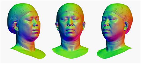 3d Mei Human Head Eyes Closed Au43 Raw Scan Model Turbosquid 1731728