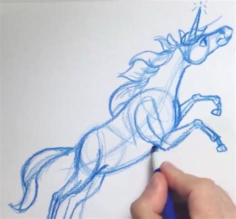 draw  realistic unicorn step  step  beginners