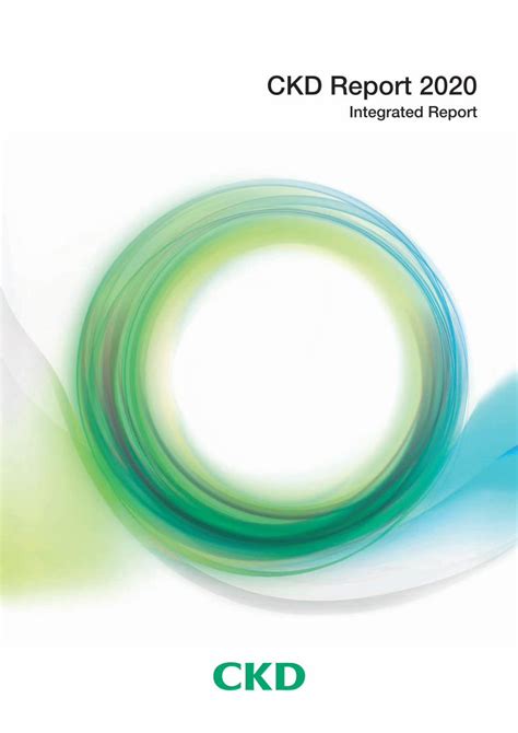 Pdf Ckd Report 2020€¦ · Ckds Management Control Framework