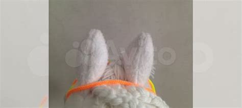 Лошадь для хоббихорсинга купить в Екатеринбурге | Животные и зоотовары ...