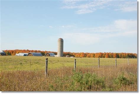 Michigan Fall Foliage