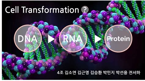 분자생물학 By 소연 김 On Prezi