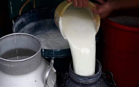 Incrementa producción de leche en el segundo cuatrimestre de 2023