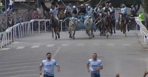 Ai Giovani La Carrese Di San Martino In Pensilis