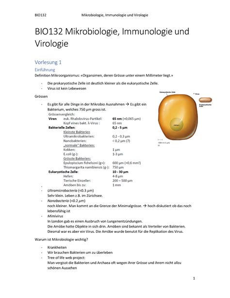 BIO132Mikrobiologie Immunologieund Virologie BIO132 Mikrobiologie