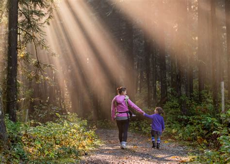 The Healing Power of Nature - Blessing Landscapes