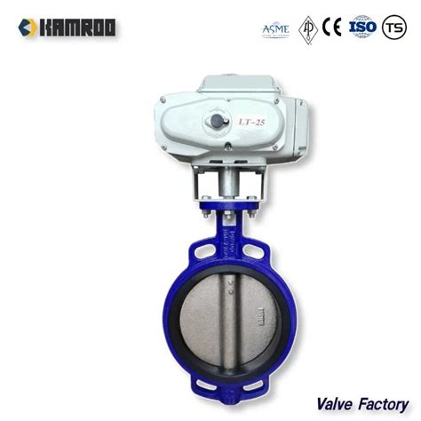 Ductile Cast Iron Stainless Steel Wafer Lug Lugged Type Double Flange Butterfly Valve China