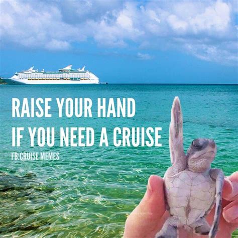 Thought Youd Like This Fun Cruise Picture Courtesy Of Cruise Memes