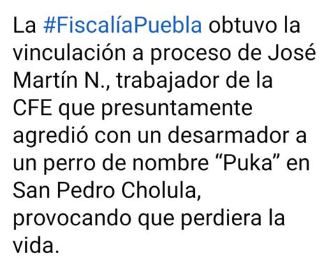 Guadalupe Jimenez On Twitter Denunciemos El Maltrato Y Crueldad