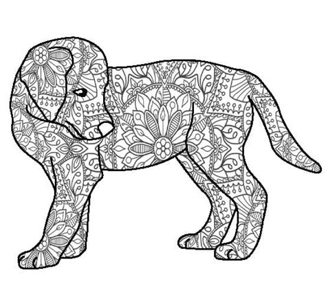 Dibujos De Mandala De Perro Gratis Para Colorear Para Colorear Pintar