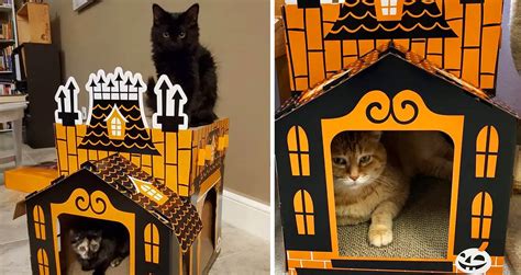 Target Has Haunted Cat Houses That Make For The Purrrfect Halloween Hideout