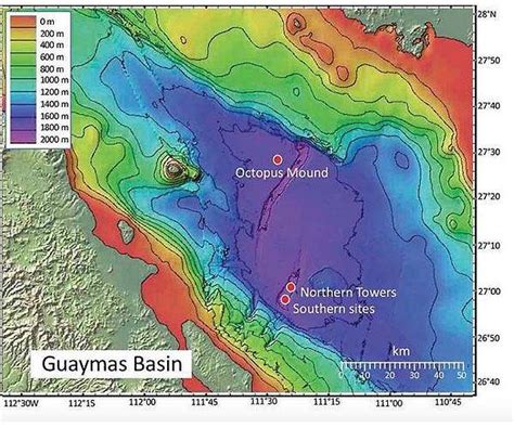 Some Seafloor Microbes Can Take The Heat And Here S What They Eat