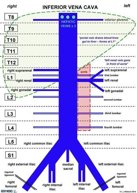 Pin by Nacho Redondo García on Anestesia Diagnostic medical