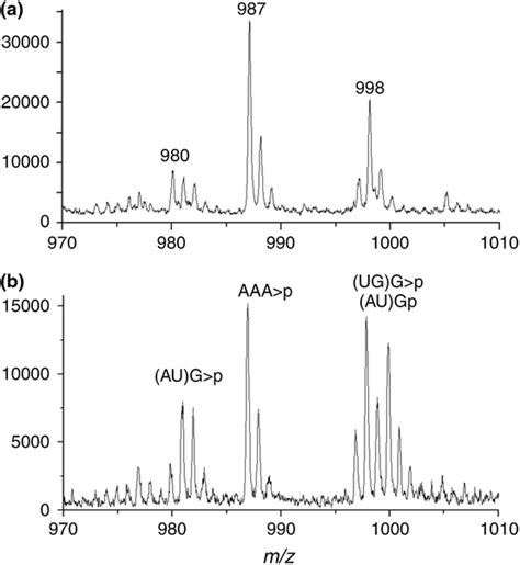 Expanded View Of Maldi Mass Spectral Data Obtained From The Rnase T1 Download Scientific