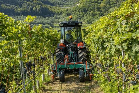 In Vigneto Con I Trattori Specializzati Di Valtra Agrimeccanica