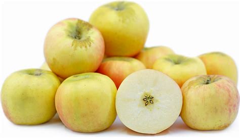 Pink Lady Apples Information And Facts