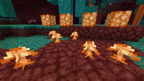 Minecraft Shroomlight ¡ubicaciones Usos Y Más Moyens I O