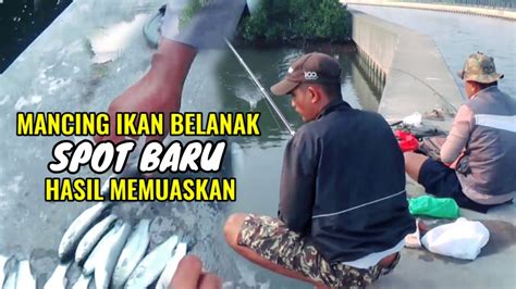 Mancing Ikan Belanak Spot Baru Hasil Memuaskan YouTube