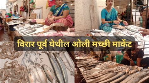 आमह गल वरर परव यथल ओलय मचछ मरकटल Daily Fresh Fish