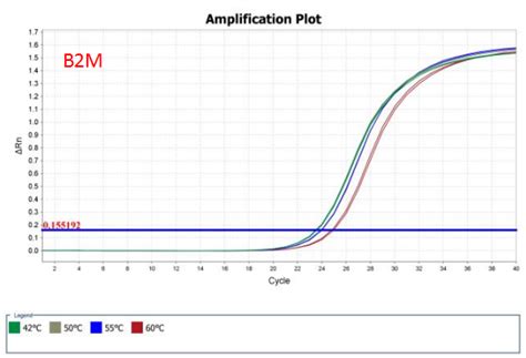 Accelerrt G Template Switching Enzyme Igenebio