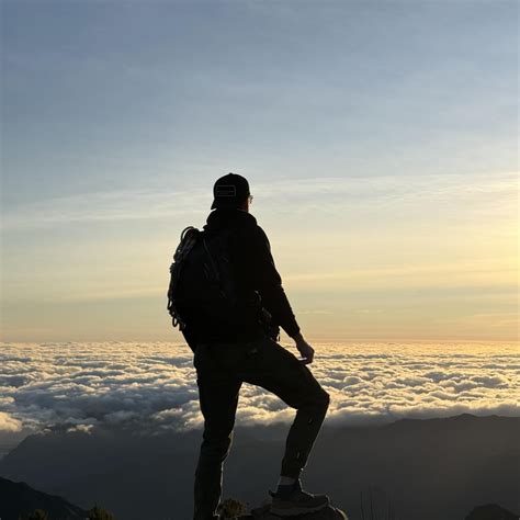 This is Madeira — the island of eternal spring. 🌸 Here flowers bloom in