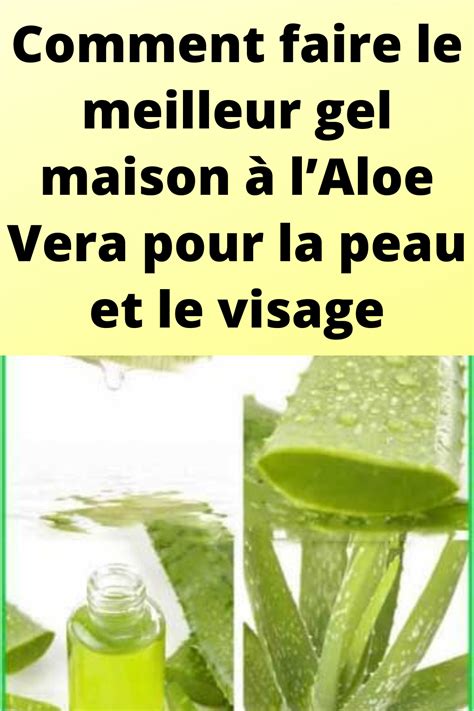 Comment Faire Le Meilleur Gel Maison Laloe Vera Pour La Peau Et Le