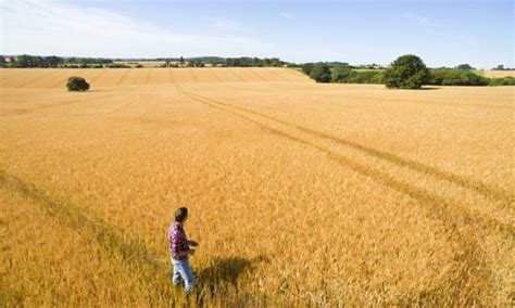 Corteva Agriscience Revolu Ioneaz Agricultura N Rom Nia I Republica