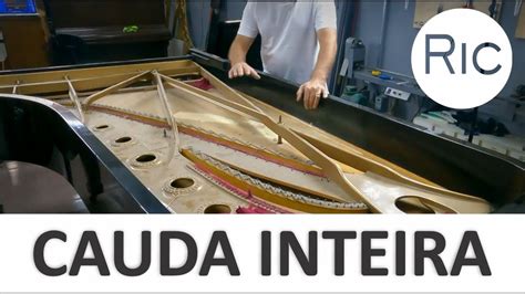 TRABALHANDO EM UM STEINWAY DE CAUDA INTEIRA 106 YouTube